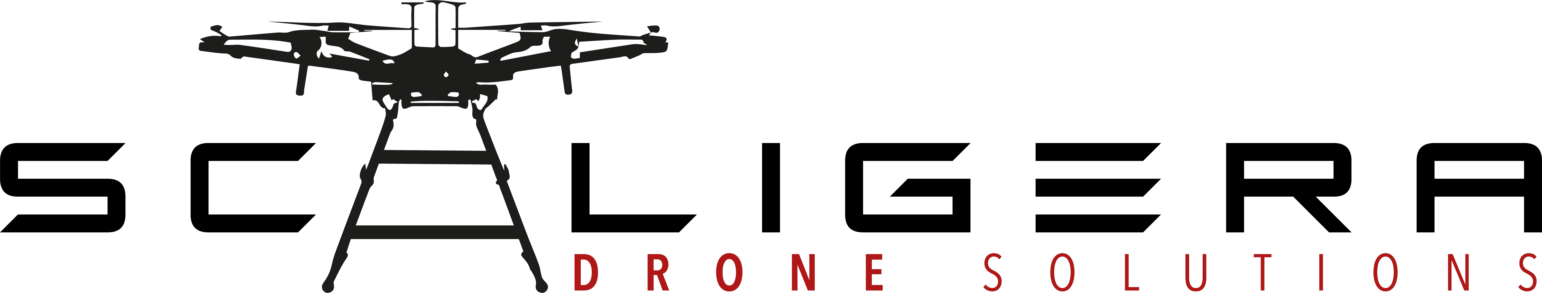 Drone Scaligera